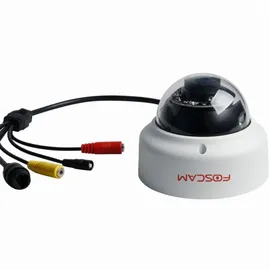 Foscam D2EP weiß