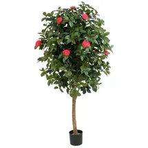 aplanta Künstlicher Kamelienbaum - Philina | 170 cm