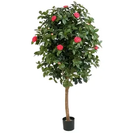 aplanta Künstlicher Kamelienbaum - Philina | 170 cm