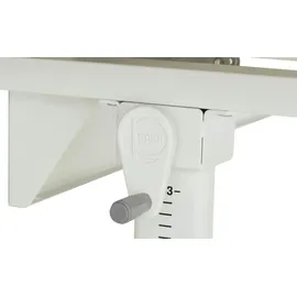 Paidi Schreibtisch Diego 130 GT holzfarben