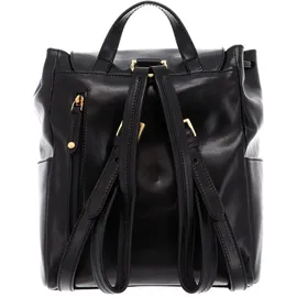 the Bridge Story Donna Rucksack Schwarz