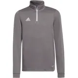 Adidas Herren ent22 tr topy Sweatshirt, Team Grey Four, XS-XL EU