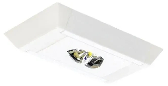 H1 Solutions Sicherheitsleuchte ImplantRecessedAT3HA
