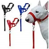 Maulkorb Training Hund Nylon Halsband Gürtel Verstellbar Grösse S M L Resistent S