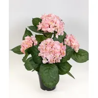 Seidenblumen Roß Hortensienbusch Deluxe 42cm rosa-pink im Topf LM