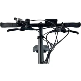 Llobe Robust Pro 20 Zoll RH 38 cm Unisex schwarz