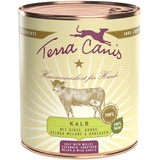 Terra Canis Classic Kalb mit Hirse, Gurke, gelber Melone und Bärlauch 12 x 800 g