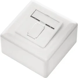 deleyCON 4x CAT6 Universal Netzwerkdose - 1x RJ45 Port - Geschirmt - Aufputz oder Unterputz - 1 Gigabit Ethernet Netzwerk - EIA/TIA 568A&B - Weiß - Weiß