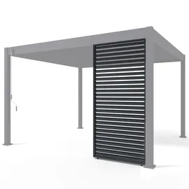 pergoline Seitenwandpaneel 1 Stück 1,24 x 2,34 x 0,07 m Anthrazit
