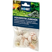 Dohse HOBBY Natur Sea Shells Set M (10 Stück)