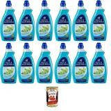 Felce Azzurra Bodenreiniger Felce Azzurra 1 l