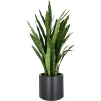 Creativ green »Sansevieria zeylanica«, im eleganten Topf Creativ green