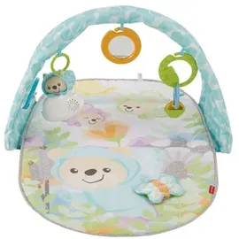 Fisher-Price Traumbärchen Erlebnisdecke