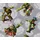 Wirth Kissenbezug Turtles 40 x 40 cm Grau