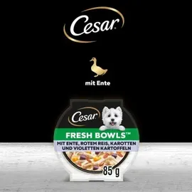 Cesar Fresh Bowls Ente in Sauce 20 x 85 g