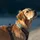 tractive GPS Tracker Hund XL wasserdicht grün
