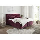 ED EXCITING DESIGN Boxspringbett Pembroke - rot ¦ Maße cm B: 200 H: 121