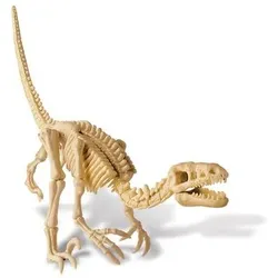 HCM KINZEL 68661 Dinosaurier Ausgrabung Velociraptor - KidzLabs