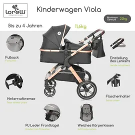 Lorelli Kinderwagen 2 in 1 Viola