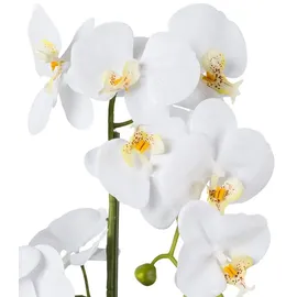 Creativ green Creativ-green Kunstblume Orchidee, Phalaenopsis, weiß, im Keramiktopf, Höhe 52 cm