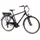 F.lli Schiano E-Ride 2023 28 Zoll RH 48 cm schwarz