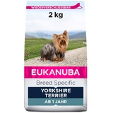 Eukanuba Yorkshire Terrier Hundefutter trocken