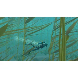 Endless Ocean Luminous - Edition - (PEGI) (Nintendo Switch)