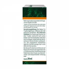 Hübner Ingwer Tropfen bio 20 ml
