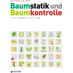 Baumstatik und Baumkontrolle