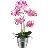 Creativ green Kunstorchidee »Orchidee Phalaenopsis«, mit silberfarbenem Keramiktopf