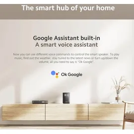 Xiaomi Smart Speaker (IR Control)