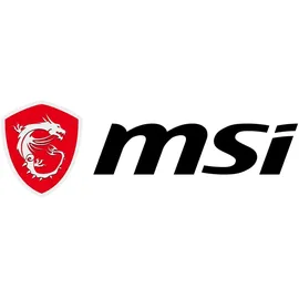 MSI SPATIUM M461 1 TB M.2