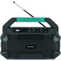 TechniSat Viola 231 OD schwarz