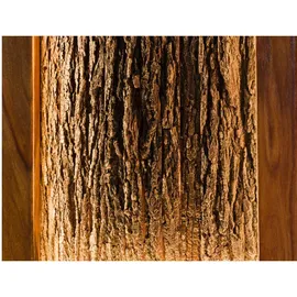 MASSIVMOEBEL24.DE Wandgarderobe Toronto Lux 88 x 148 x 18 cm Walnuss