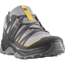 Salomon Herren, Multifunktionsschuhe SHOES EXTEND, Alloy/Asphalt/Spicy mustard, 46