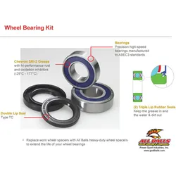 ALL BALLS Radlager-Kit 25-1211
