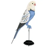 Fridolin 3D Papiermodell - Wellensittich