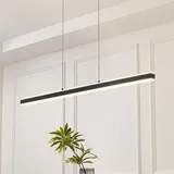 LUCANDE Pendolo 1-flg. 120 cm schwarz Aluminium
