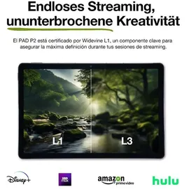 AGM P2 Active Rugged 4G 10,9" 2023 8 GB RAM 256 GB Grau