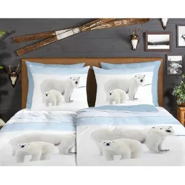 Muller Textil Wendebettwäsche Eisbär Blau 135 x 200 cm + 80 x 80 cm