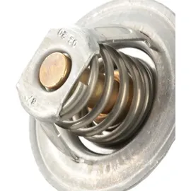 BorgWarner (Wahler) BORGWARNER Thermostat, Kühlmittel 3141.87D für VW