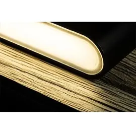 FARO 20061 - MOOD RCT Wandleuchte schwarz,