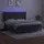 vidaXL Boxspringbett mit Matratze & LED Dunkelgrau 160x200 cm Samt
