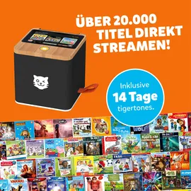 Tiger Media Tigerbox Touch Plus grau