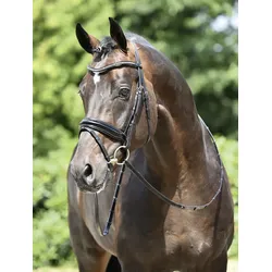 Busse Trense MASSA
