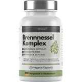 Brennnessel Komplex mit Weinreben & Rosskastanien von EXVital