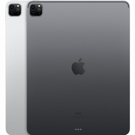 Apple iPad Pro 12,9" (5. Generation 2021) 128 GB Wi-Fi space grau