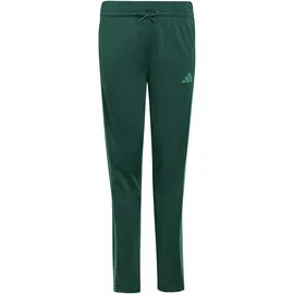 adidas Tiberio Trainingsanzug Collegiate Green/Court Green 140