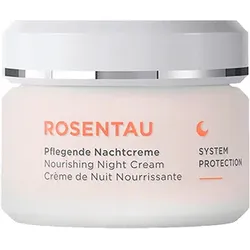 Annemarie Börlind Pflegende Nachtcreme 50ml