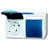 Busch-Jaeger Schuko-Steckdose 20/2 EWN-53 Ocean 2 St.